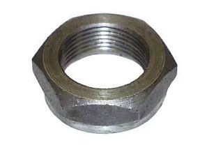 אום לגל ארכובה